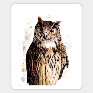 Owl Watercolor Sticker